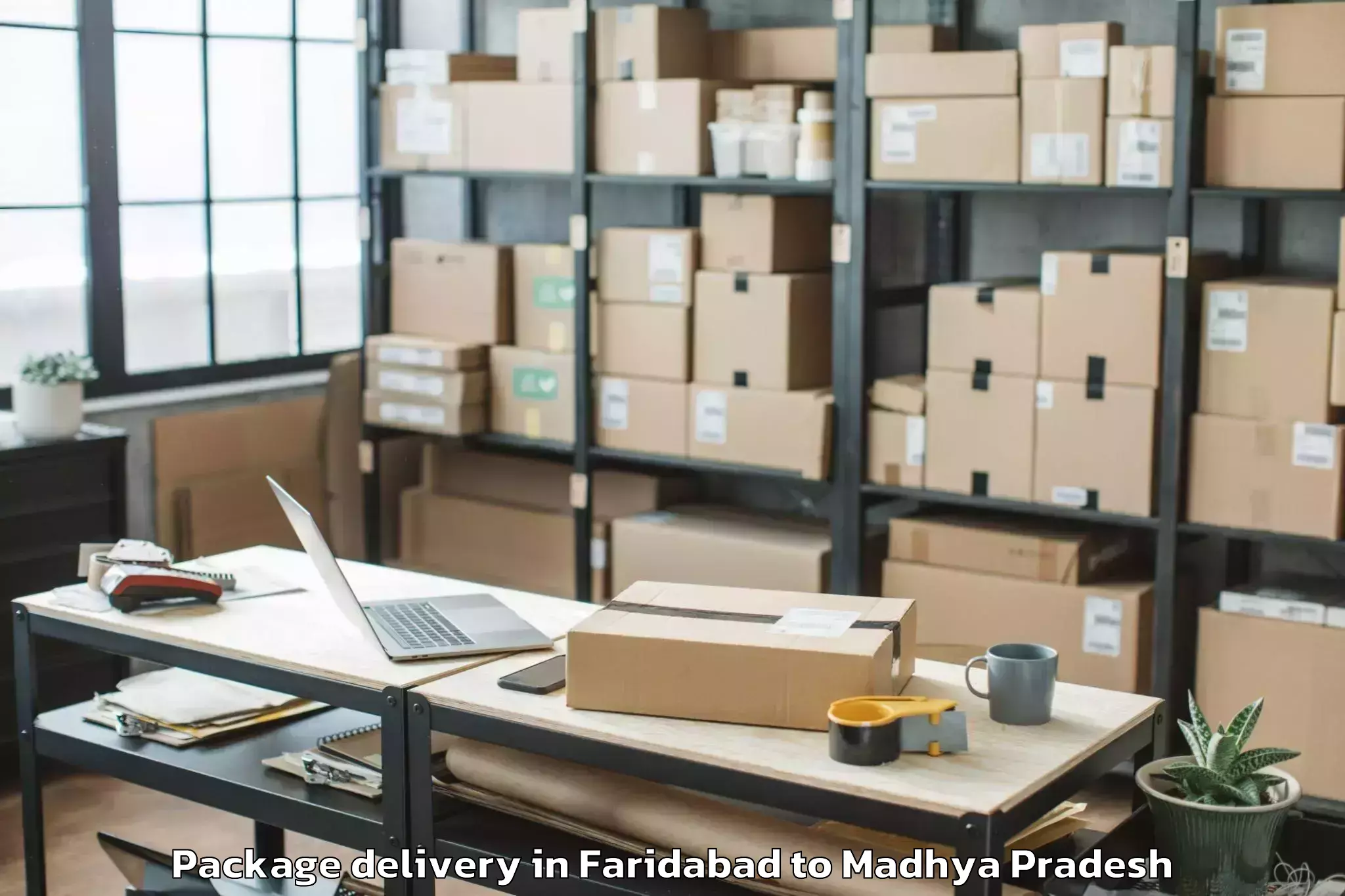 Professional Faridabad to Damoh Package Delivery